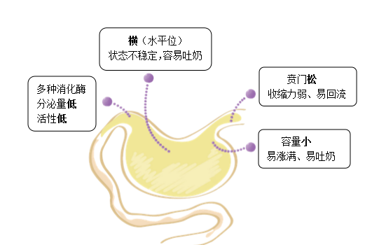 消化不良按病因可分為器質性消化不良和功能性消化不良