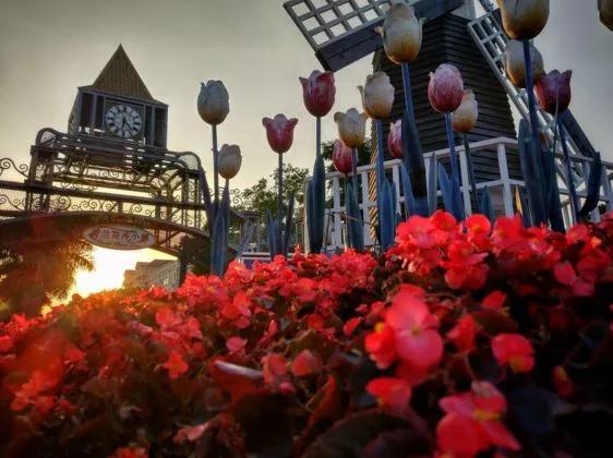 改革开放|有一种美，叫深圳之夜！深圳经济特区建立40周年的成功密码