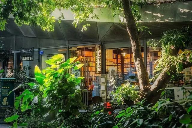 改革开放|有一种美，叫深圳之夜！深圳经济特区建立40周年的成功密码