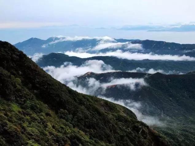 改革开放|有一种美，叫深圳之夜！深圳经济特区建立40周年的成功密码