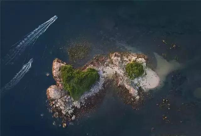 改革开放|有一种美，叫深圳之夜！深圳经济特区建立40周年的成功密码