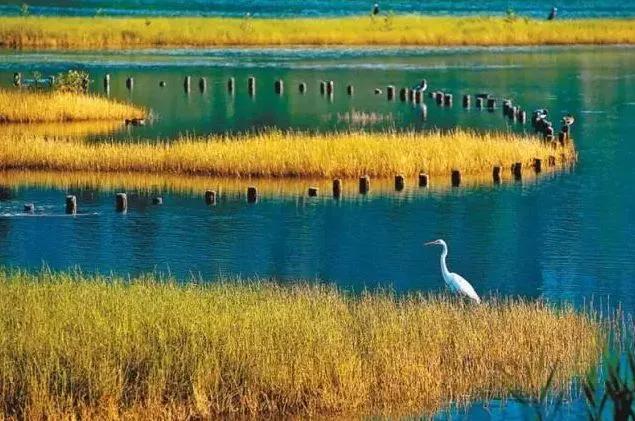 改革开放|有一种美，叫深圳之夜！深圳经济特区建立40周年的成功密码