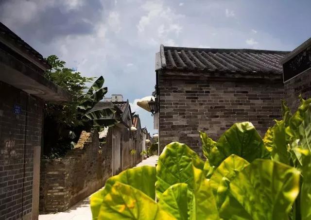 改革开放|有一种美，叫深圳之夜！深圳经济特区建立40周年的成功密码