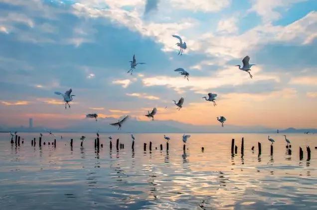 改革开放|有一种美，叫深圳之夜！深圳经济特区建立40周年的成功密码