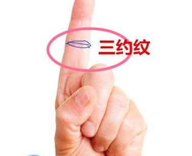 大拇指指纹:第二节纹多大拇指第二处的节纹比较多的人,表示这个人很