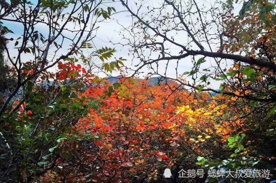 北京郊区|北京郊区有个色彩斑斓景点，被誉璀璨天堂，时刻演绎缤纷世界！