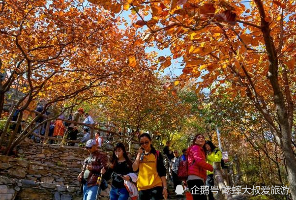 北京郊区|北京郊区有个色彩斑斓景点，被誉璀璨天堂，时刻演绎缤纷世界！