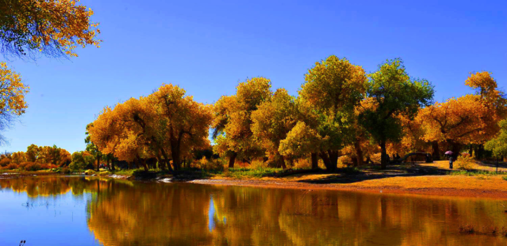 打卡阿克苏 丹青绘不出的多彩颜值_腾讯新闻