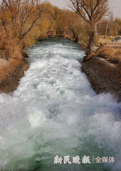 莎车东方红水库:水体清澈,飞鸟成群|国家湿地公园|莎车县|水库|沙漠