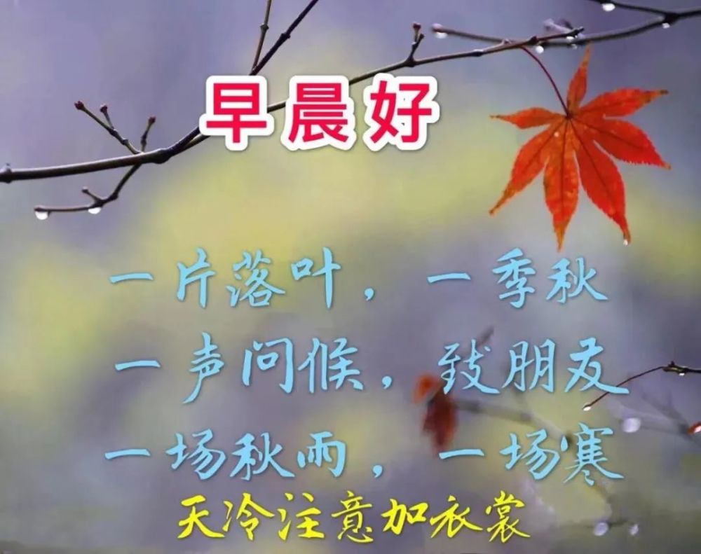 最漂亮秋日风景早上好问候图片带字精选秋天早安图片带字带祝福语