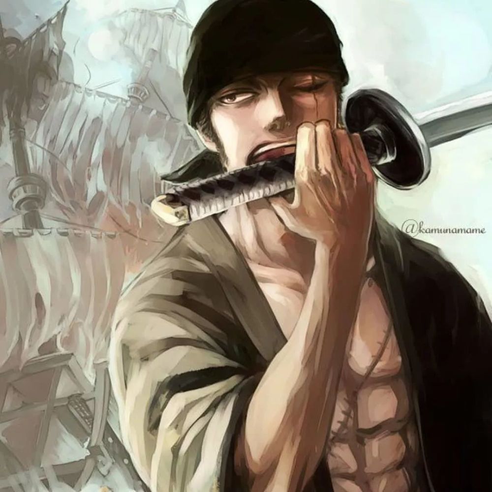 索大帅的不要不要的