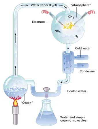 系外行星|发现了24颗比地球更宜居的行星，这些备胎靠谱吗？