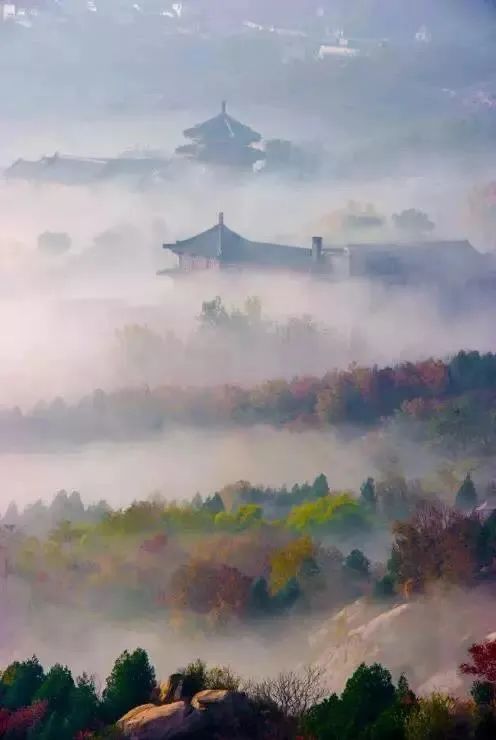 闻桂|登远山、赏红叶、闻桂香…北京之秋便是天堂！