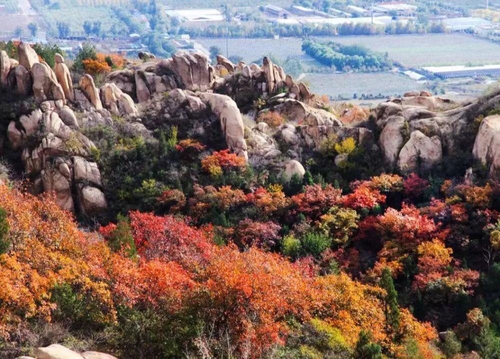 红叶|浪漫赏叶季 周末到这些地方感受金秋之美