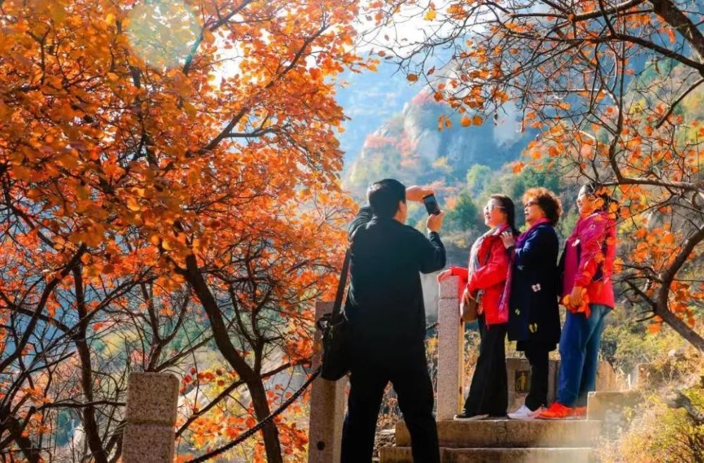 红叶|浪漫赏叶季 周末到这些地方感受金秋之美