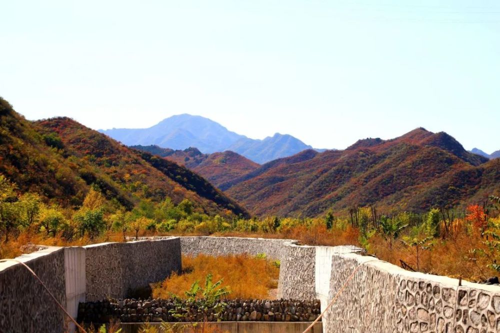 闻桂|登远山、赏红叶、闻桂香…北京之秋便是天堂！