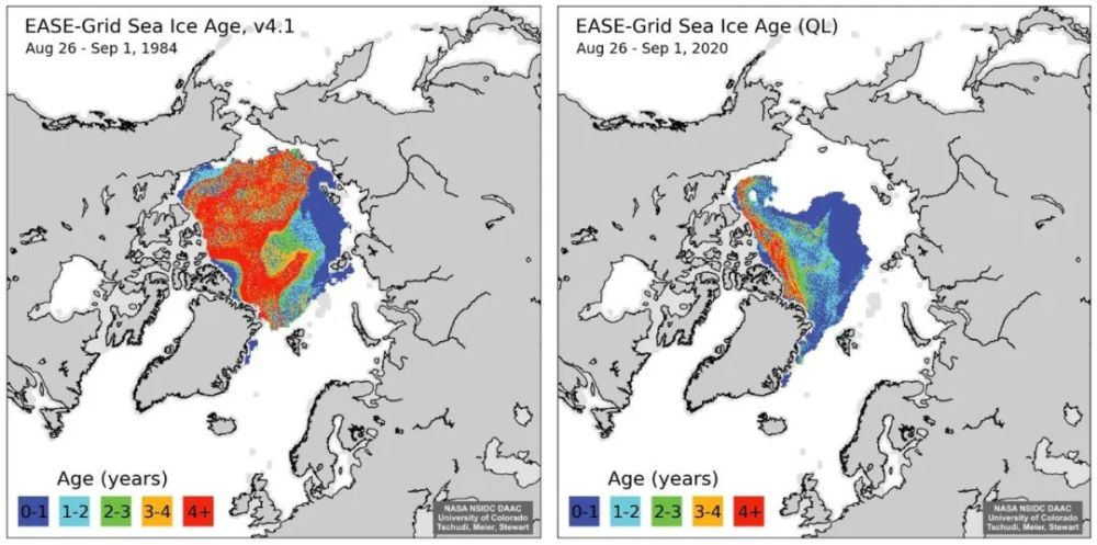 北极海冰|北极海冰达到2020年最低值，此前的预测集体失灵？