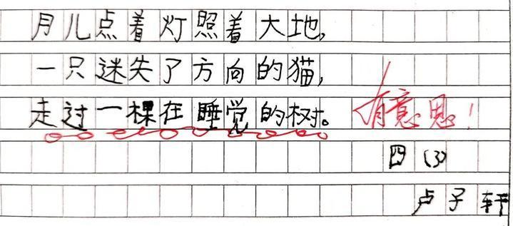 月光|四年级学生的诗火了，天马行空背后，是被允许的“放肆”