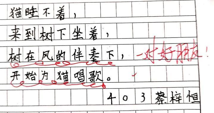 月光|四年级学生的诗火了，天马行空背后，是被允许的“放肆”