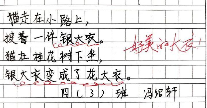 月光|四年级学生的诗火了，天马行空背后，是被允许的“放肆”