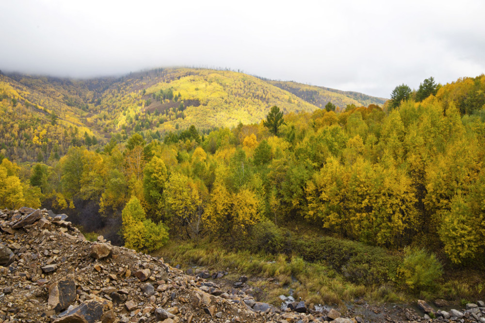 阿尔山的秋景虽美，但路上的“坑”太多。