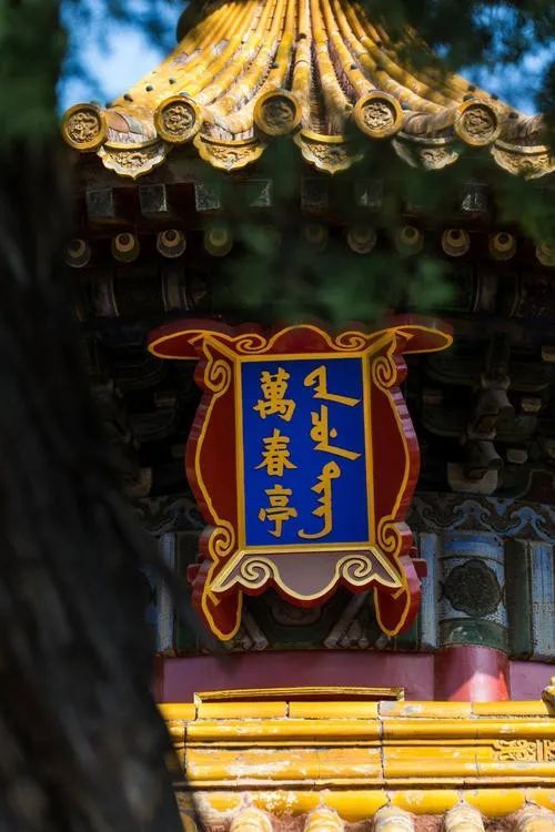 御花园|爱定客x宫里的世界