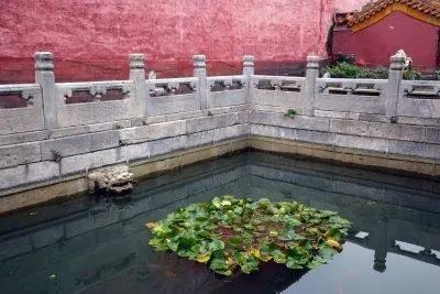 御花园|爱定客x宫里的世界