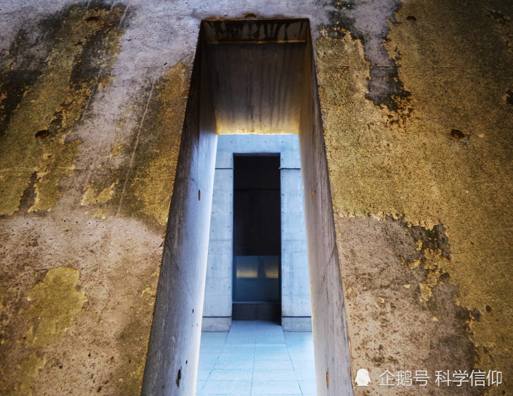 广积粮|高筑墙广积粮，末日准备是杞人忧天，还是无聊炫富？