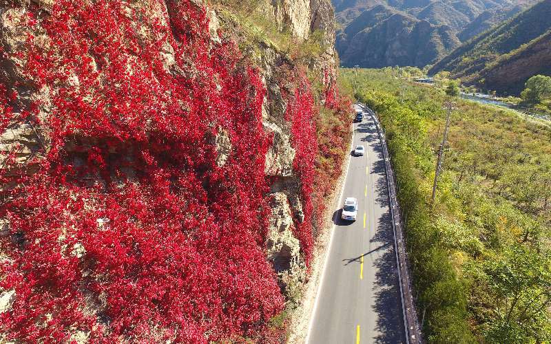 金秋|开车路过北京这条国道，感受色彩斑斓的金秋！