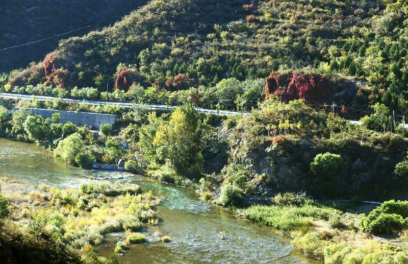 金秋|开车路过北京这条国道，感受色彩斑斓的金秋！