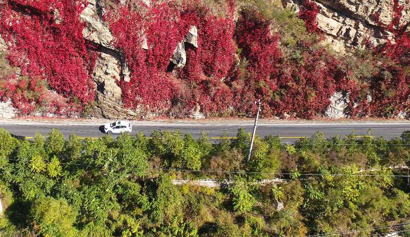 金秋|开车路过北京这条国道，感受色彩斑斓的金秋！