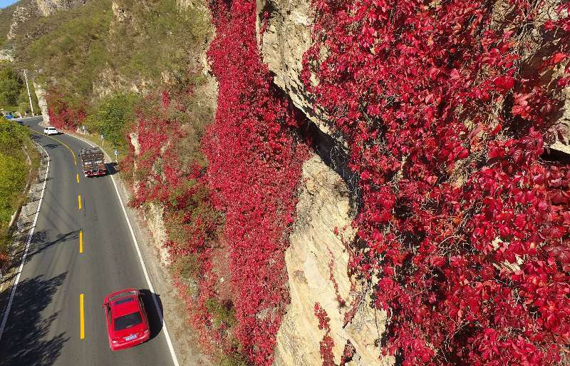 金秋|开车路过北京这条国道，感受色彩斑斓的金秋！