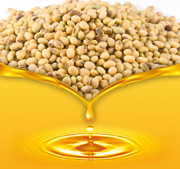 常见6种食用油 大豆油 菜籽油 玉米油哪个好 贵的就是好油 食用油 花生油 葵花籽油 大豆油 菜籽油 玉米油