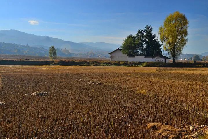 哲学|曾祖父的吃饭哲学