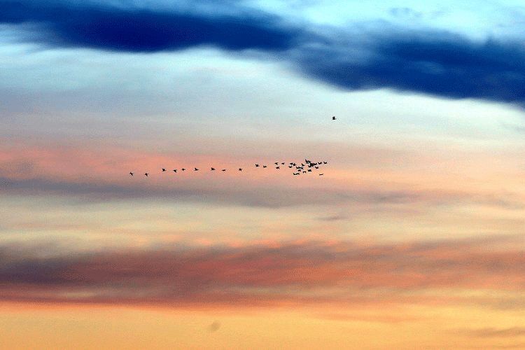 对联|10副智慧对联：要大门闾积德累善，是好子弟耕田读书