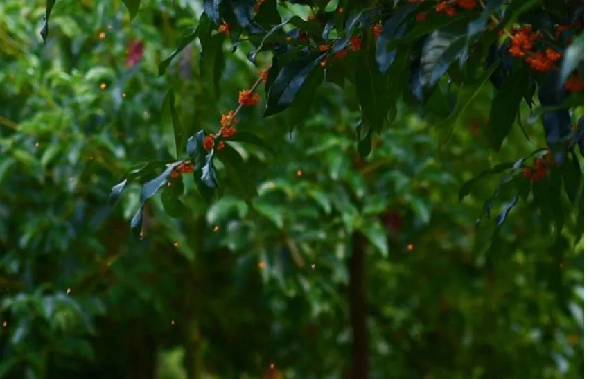 对联|10副智慧对联：要大门闾积德累善，是好子弟耕田读书