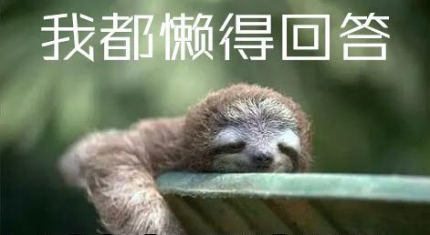 树懒|我们的“懒”被嫌弃，树懒的“懒”就能成为高科技