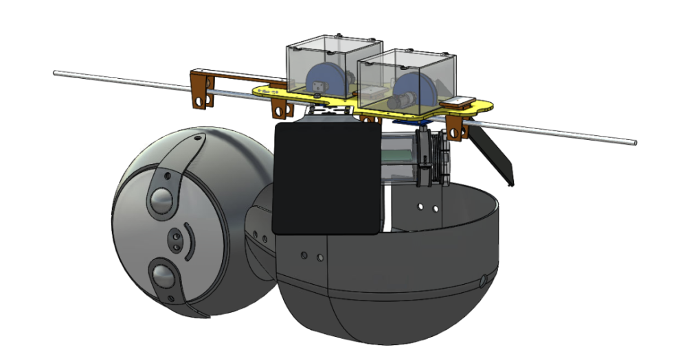 树懒|我们的“懒”被嫌弃，树懒的“懒”就能成为高科技