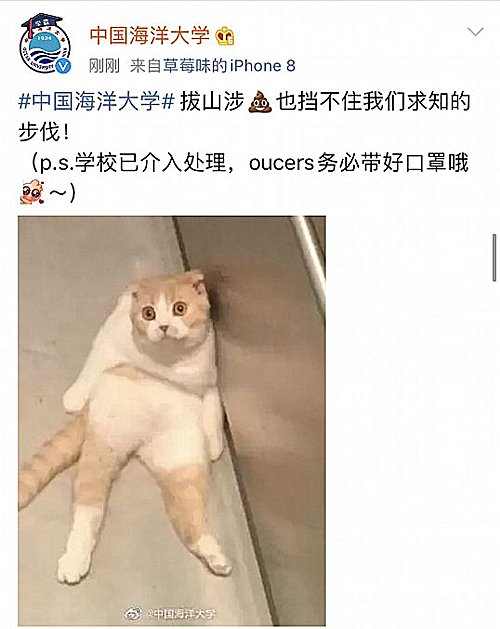 中国海洋大学化粪池炸了-WordPress极简博客