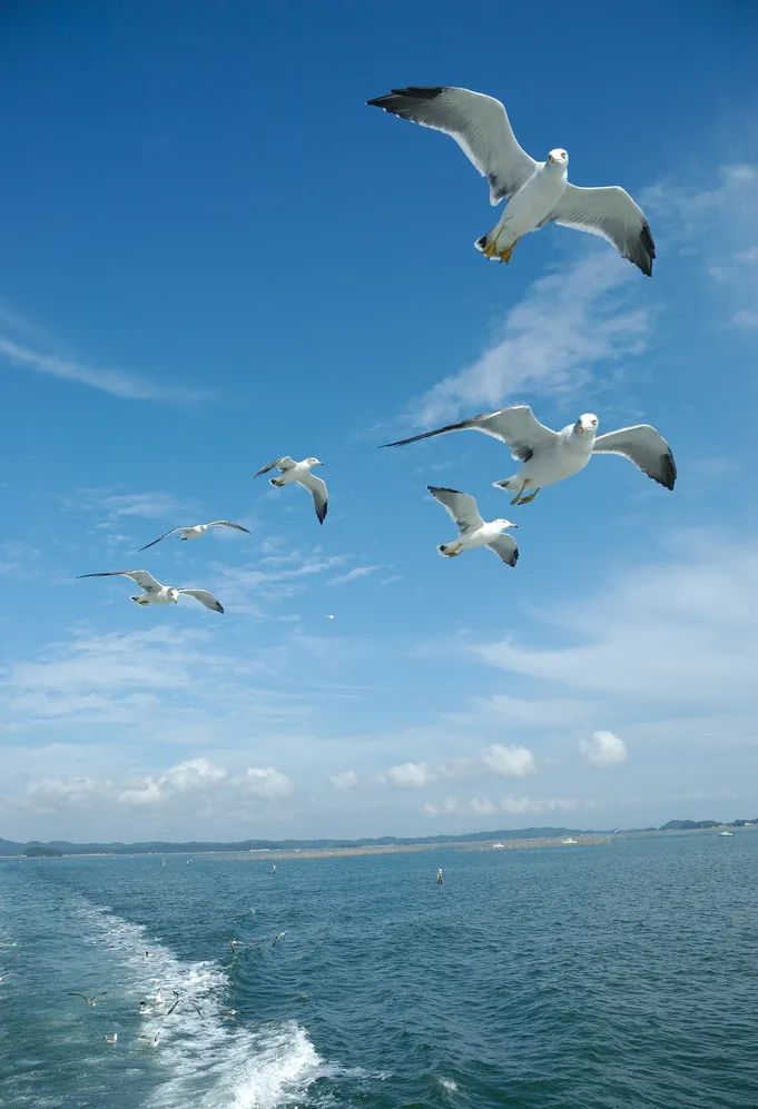 白云|秋韵 作者：微尘