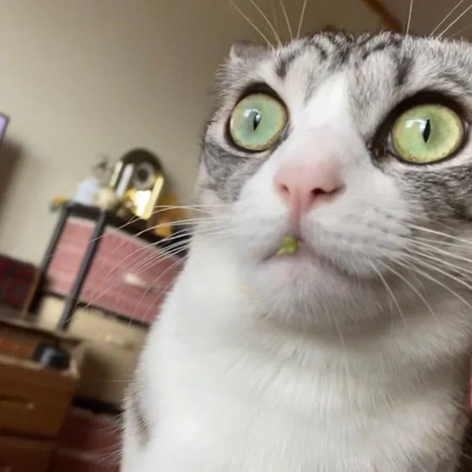 沙雕网友诚不欺我