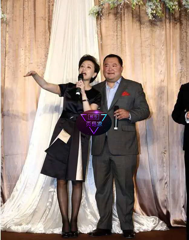 杨澜和老公同框出席活动,对比丈夫瘦成闪电,为爱抛弃一婚惹争议