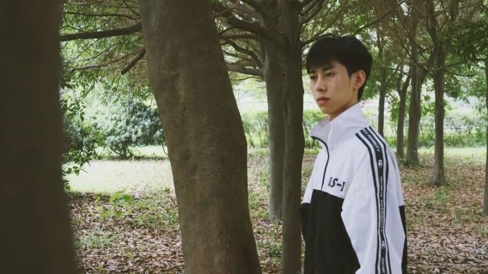 秋日|有趣的秋日印象 Vol.04