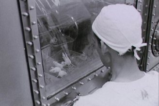 宇航员|那些年，一飞冲天的小鼠们