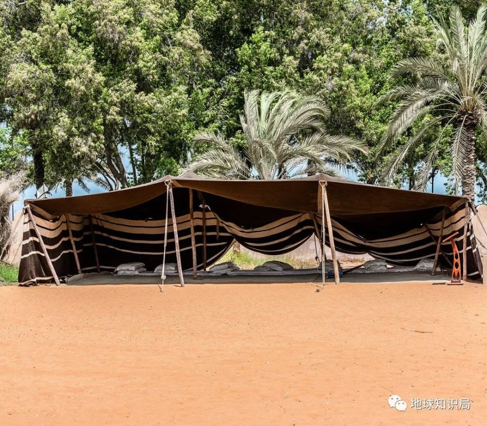 贝都因人|这个沙漠民族，正在消失