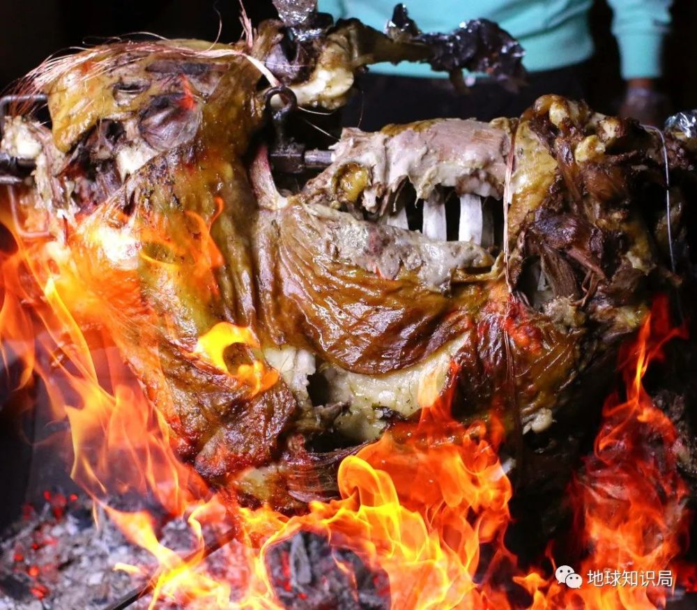 贝都因人|这个沙漠民族，正在消失