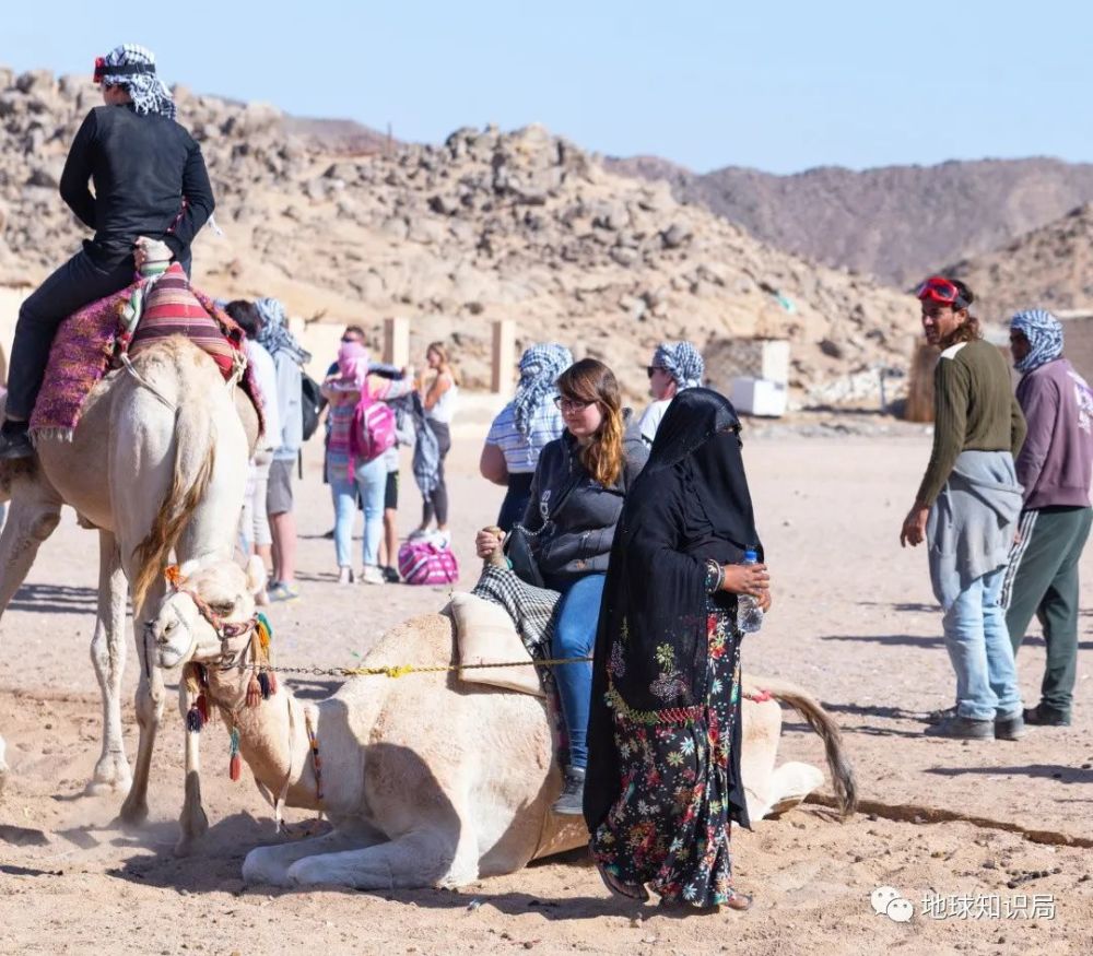 贝都因人|这个沙漠民族，正在消失