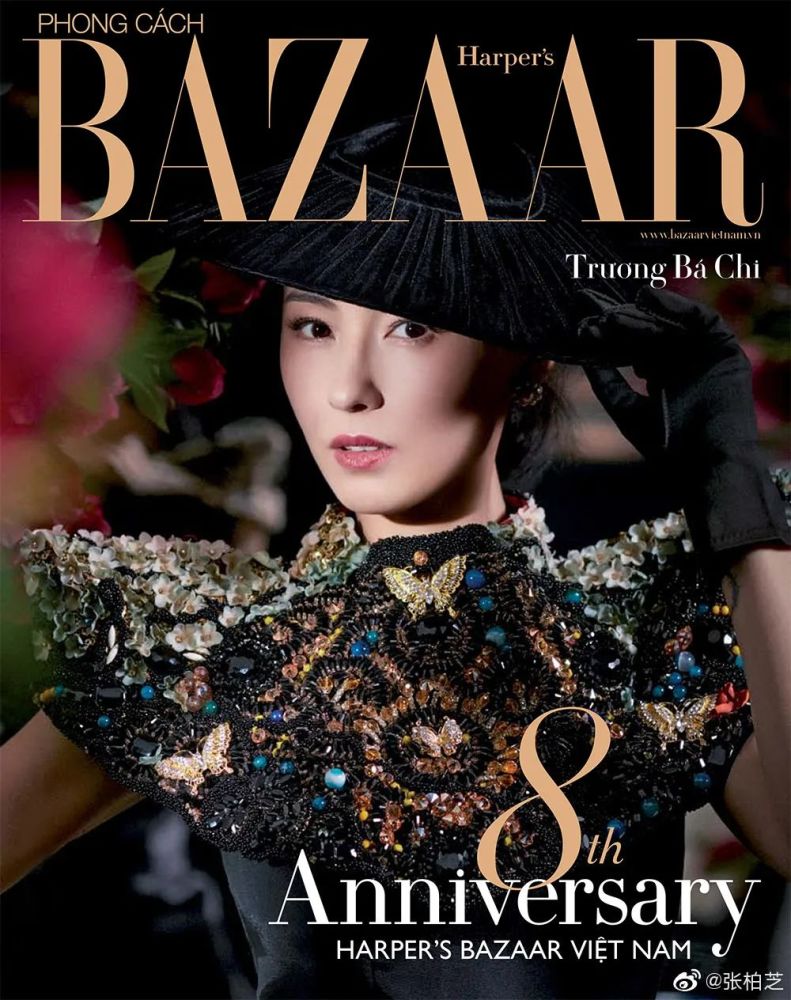 张柏芝|张柏芝这连环的爆炸消息，不值得一个热搜吗？