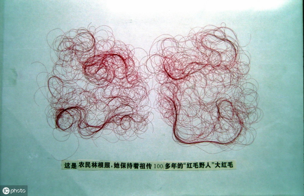 神农架|一代中国奇人，倾家荡产找野人，三任妻子离他而去，他说从不后悔