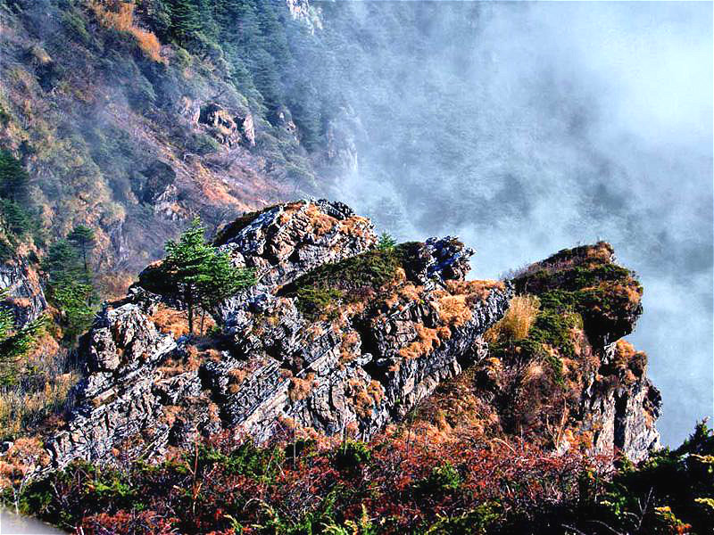 神农架|一代中国奇人，倾家荡产找野人，三任妻子离他而去，他说从不后悔